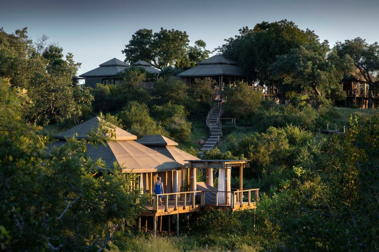 Simbavati Hilltop Lodge Timbavati Game Reserve Exterior photo