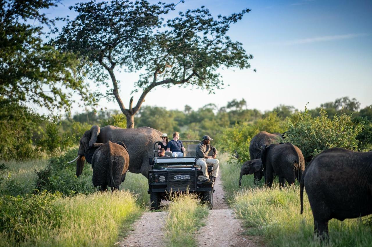 Simbavati Hilltop Lodge Timbavati Game Reserve Exterior photo