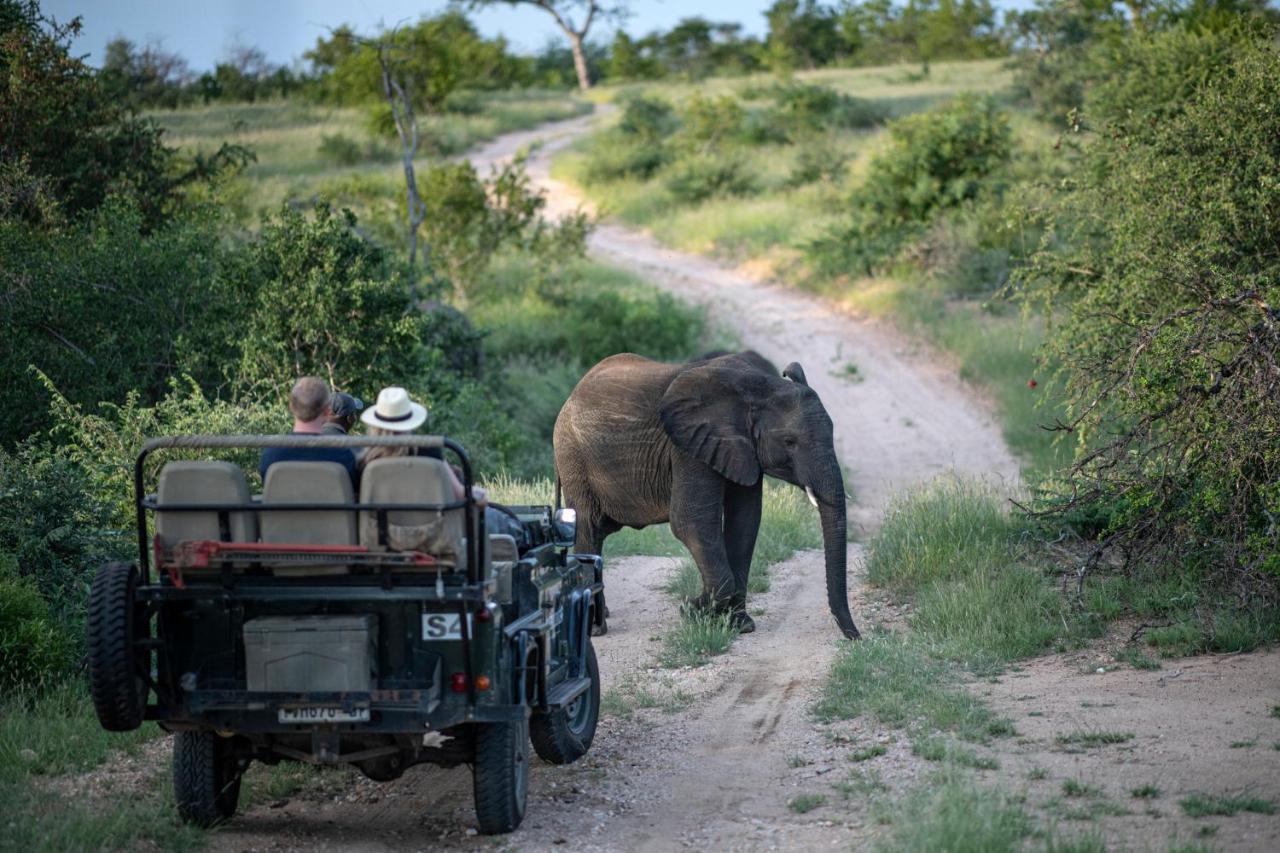 Simbavati Hilltop Lodge Timbavati Game Reserve Exterior photo